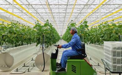 科技賦能農業生產經營，助力打造精彩難忘的花博盛會