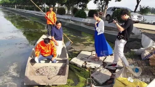 從央視到國家農業機構點贊 通威魚、海大魚、白蕉海鱸、興化大閘蟹，誰更勝一籌？